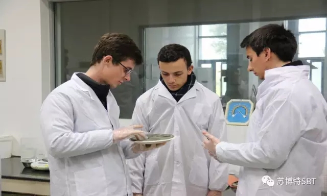 1525848682333906ajYT.jpg 2017041113370465.jpg